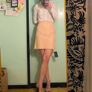 Needle & thread pale pink lace mini skirt (NWT